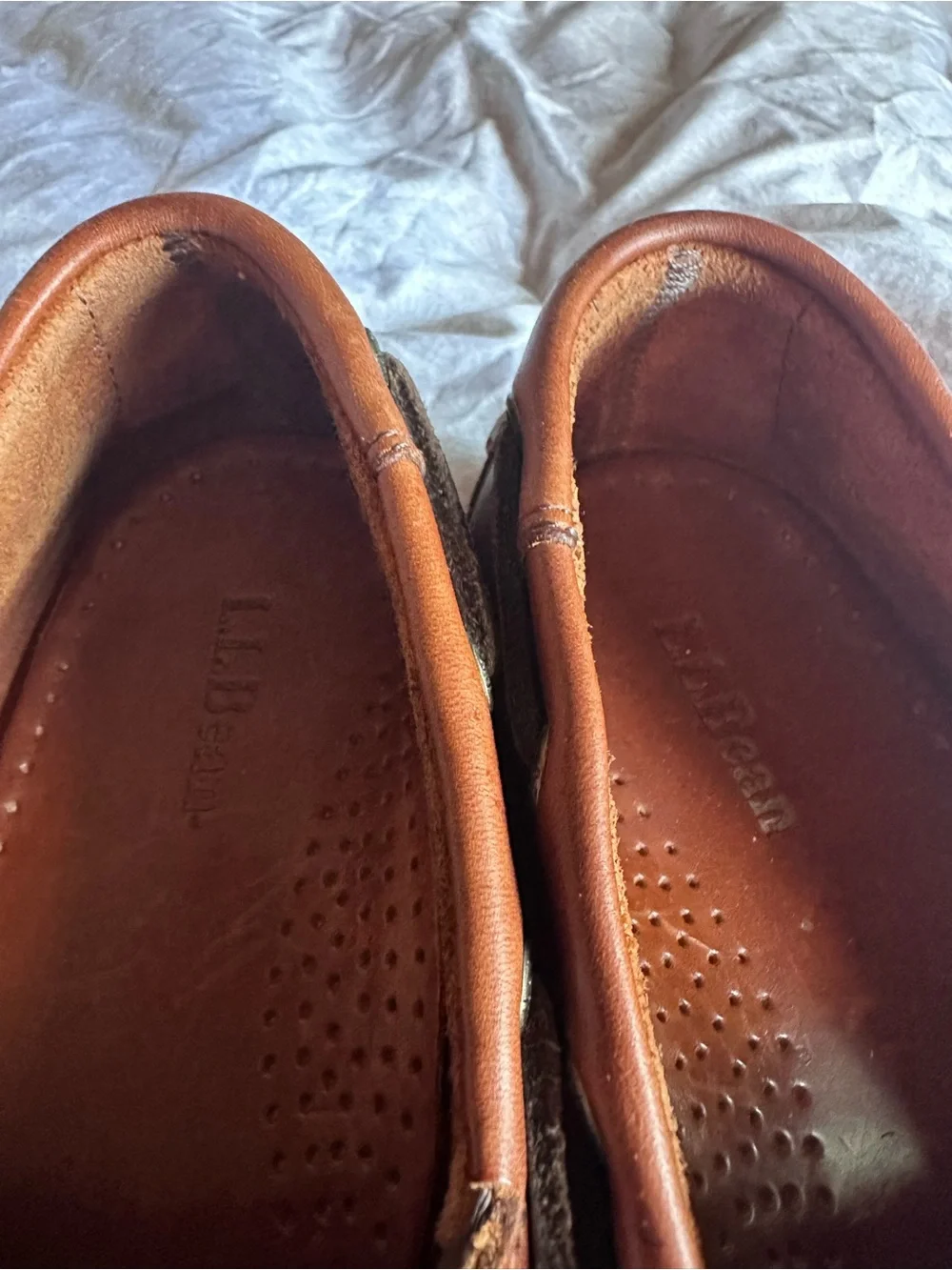 L.L. Bean classic men